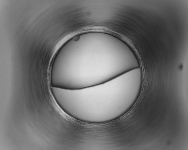 X0000116011482200911191226