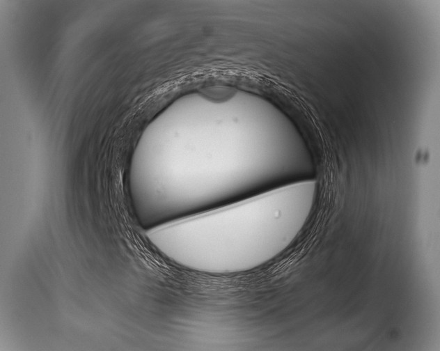 X0000116011489200911191225