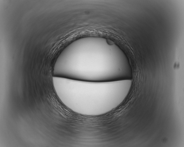 X0000116011490200911191225