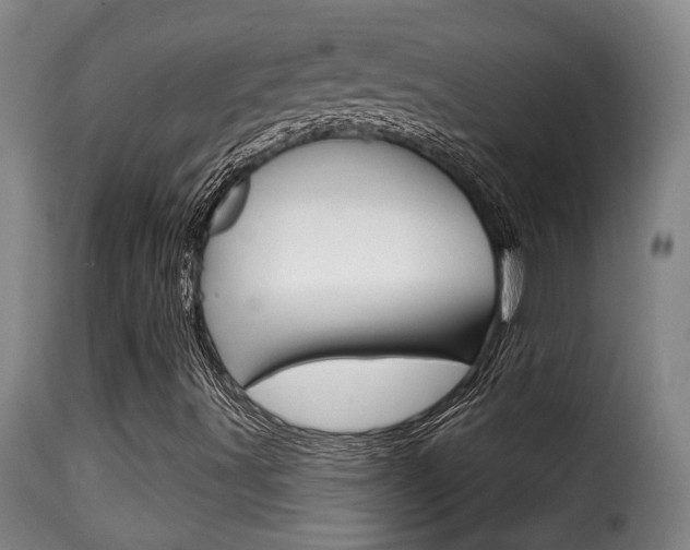 X0000116011491200911191225