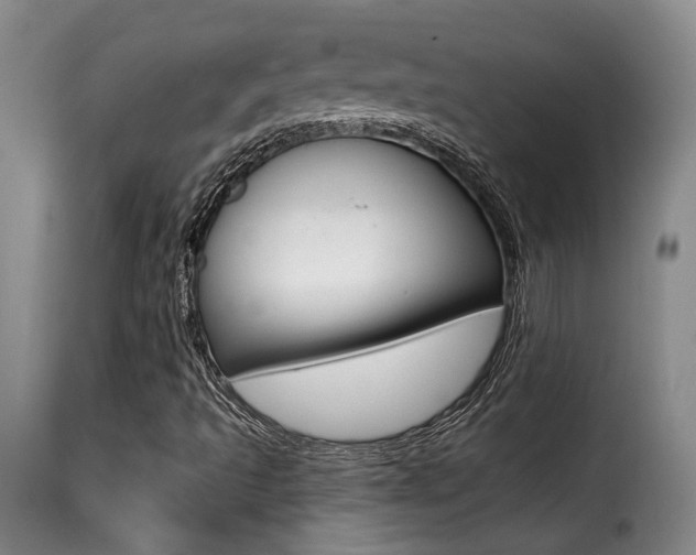X0000116011493200911191225