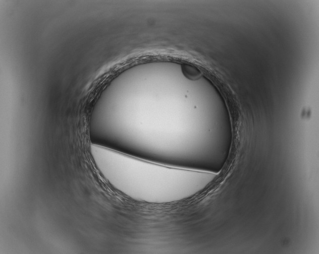 X0000116011494200911191225