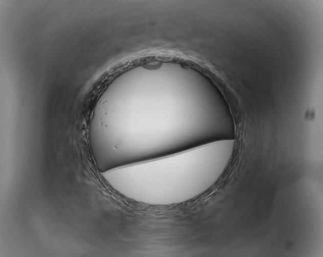 X0000116011495200911191225