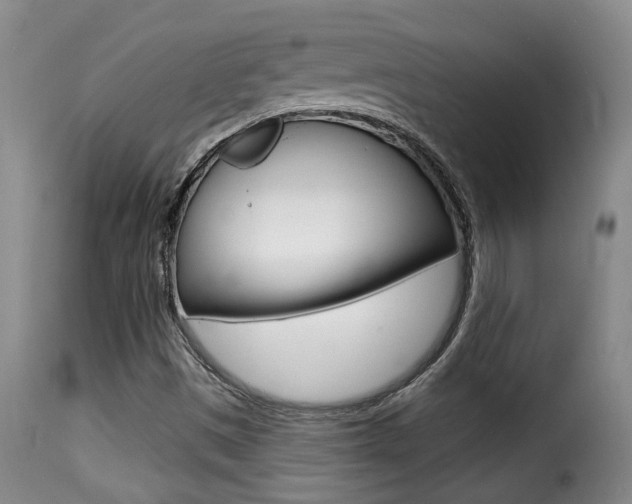 X0000116011497200911191225