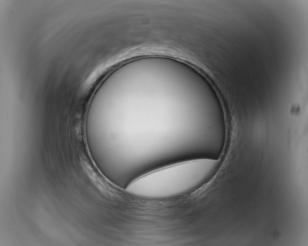 X0000116011499200911191225