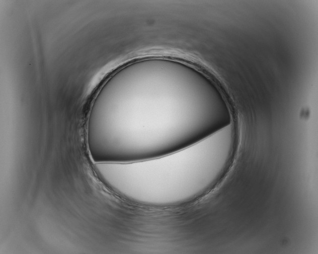 X0000116011501200911191225