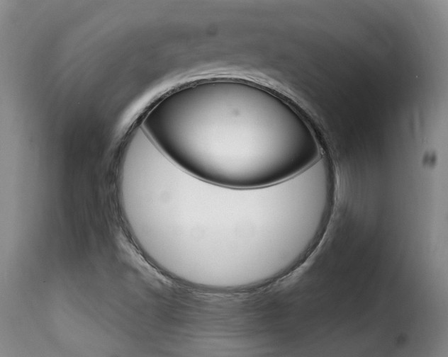X0000116011502200911191225