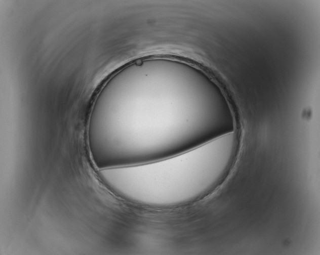 X0000116011505200911191225