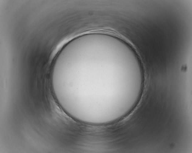 X0000116011506200911191225