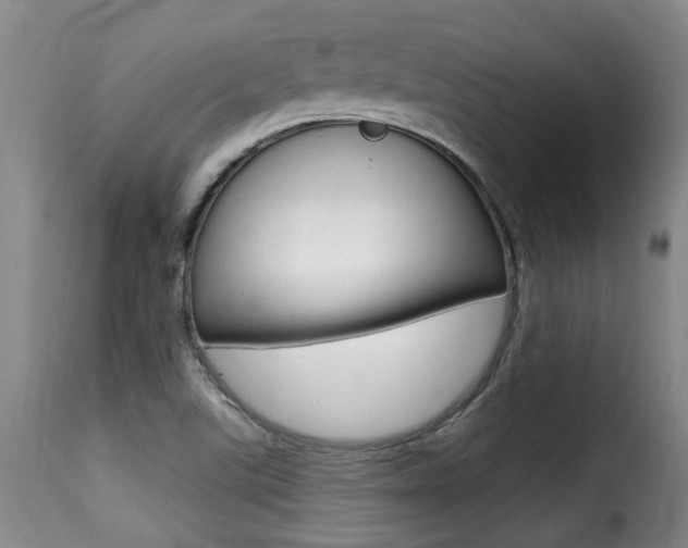 X0000116011507200911191225