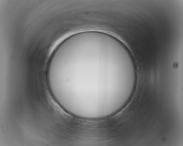 X0000116011510200911191225