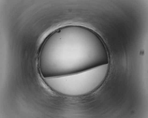 X0000116011511200911191225