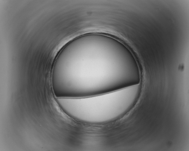 X0000116011513200911191225