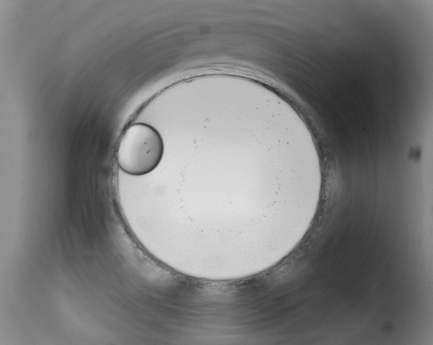 X0000116011514200911191225