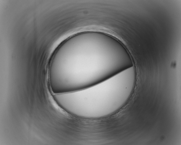 X0000116011515200911191225