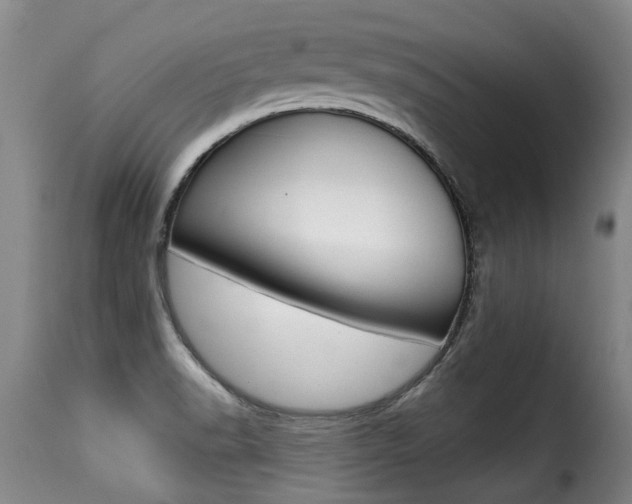X0000116011518200911191226