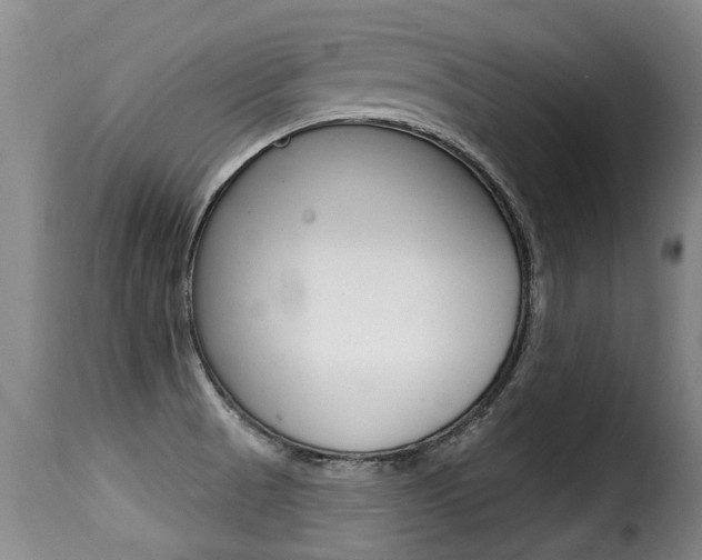 X0000116011521200911191226