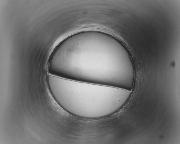 X0000116011522200911191226