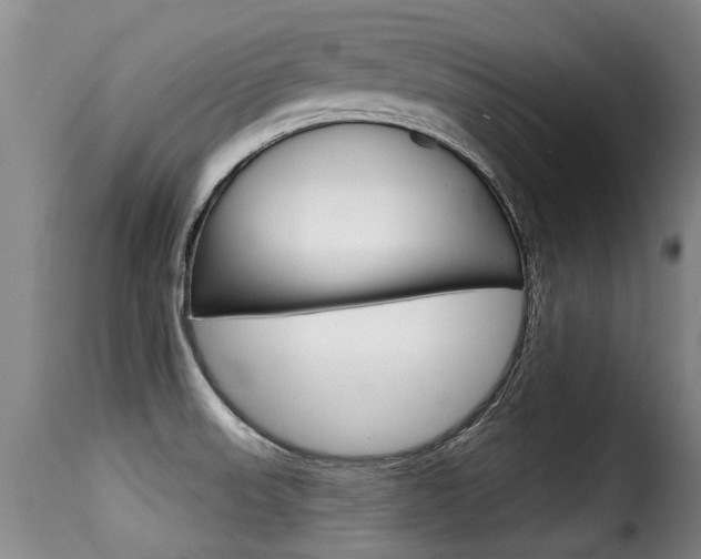 X0000116011523200911191226
