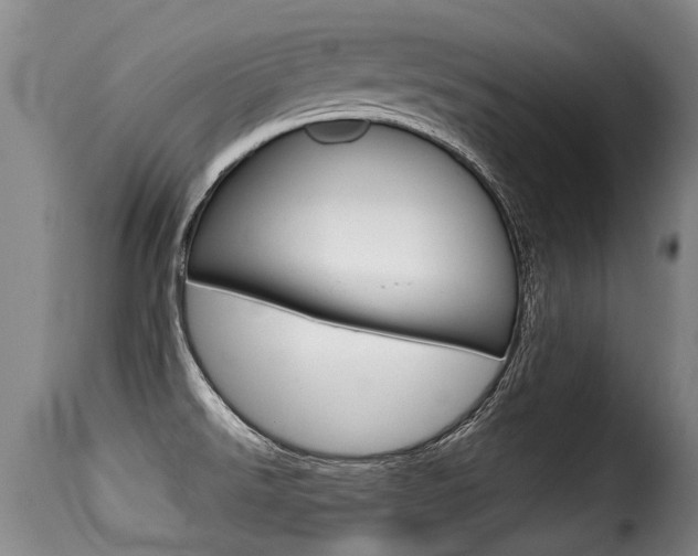 X0000116011526200911191226