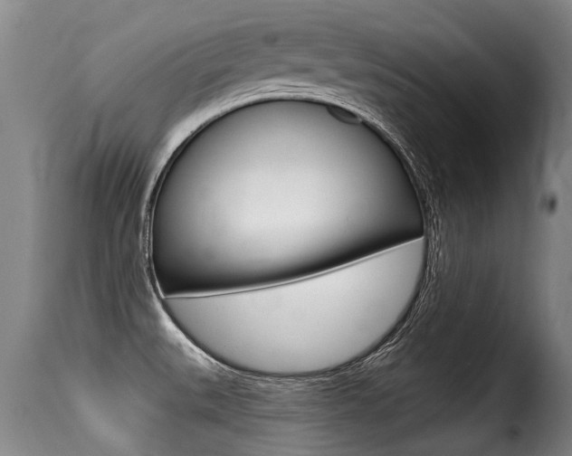 X0000116011527200911191226