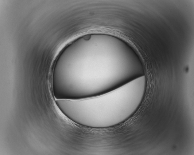 X0000116011531200911191226