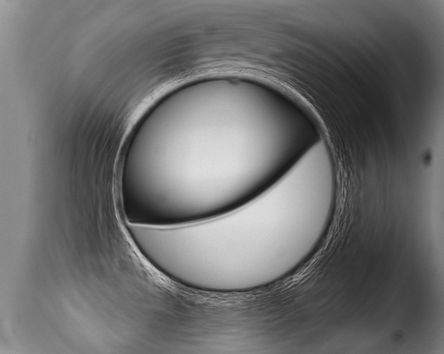 X0000116011533200911191226