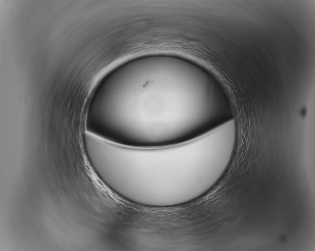 X0000116011534200911191226