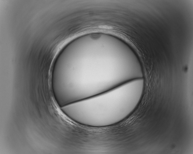 X0000116011535200911191226
