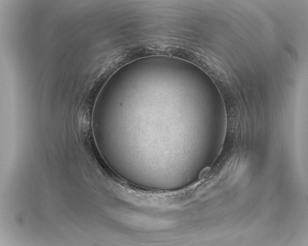 X0000116010040200911191534