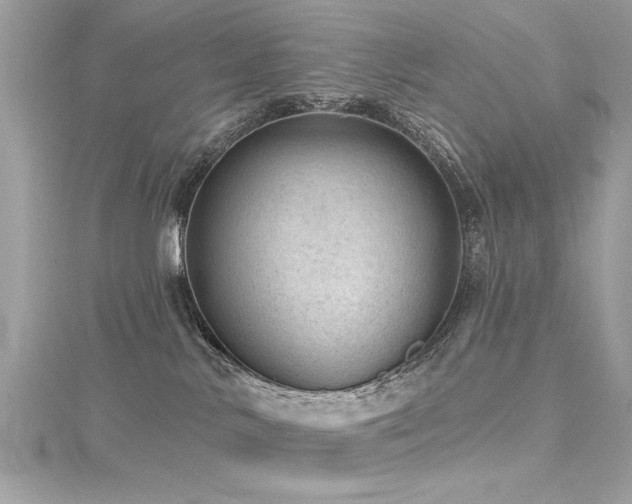 X0000116010042200911191534