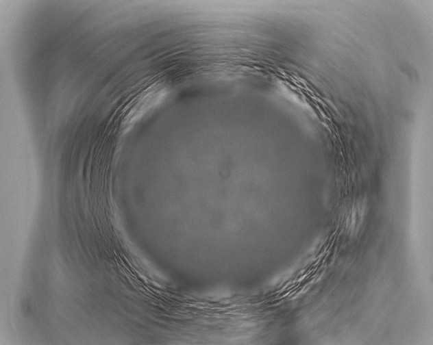 X0000116010049200911191533