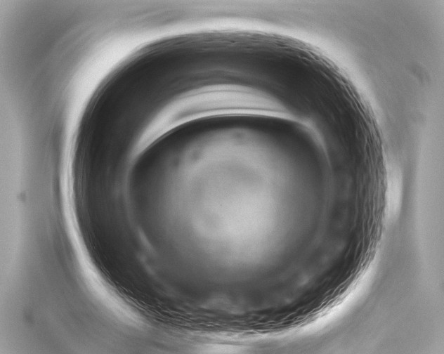 X0000116010050200911191533