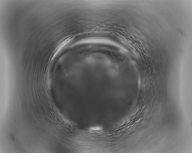 X0000116010053200911191533