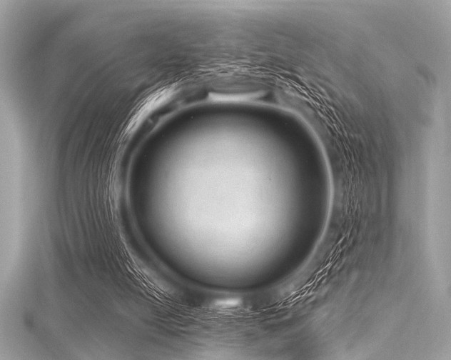 X0000116010054200911191533