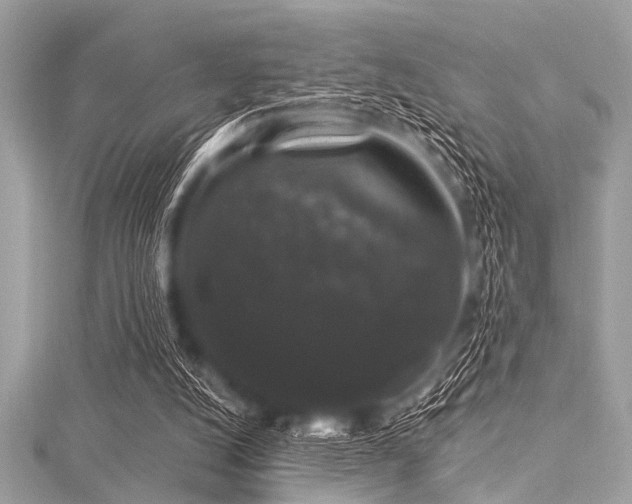 X0000116010056200911191533