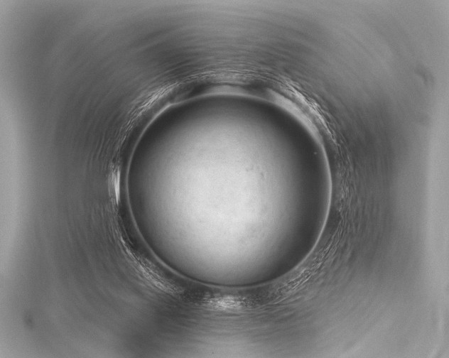 X0000116010062200911191533