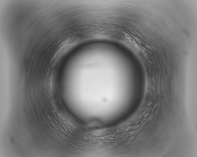 X0000116010098200911191533