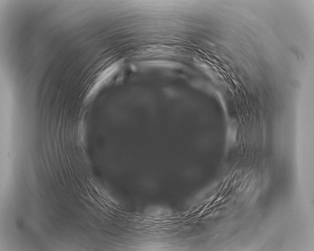 X0000116010099200911191533