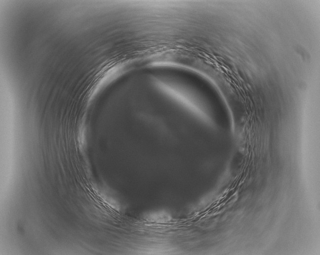 X0000116010100200911191533