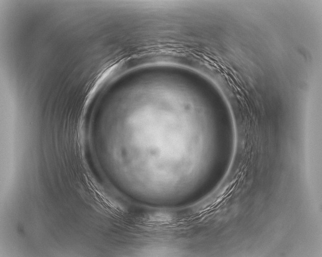 X0000116010102200911191533