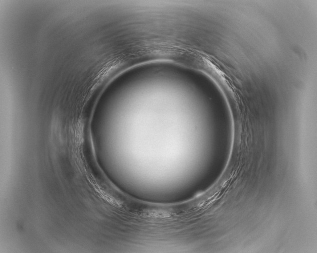X0000116010106200911191533