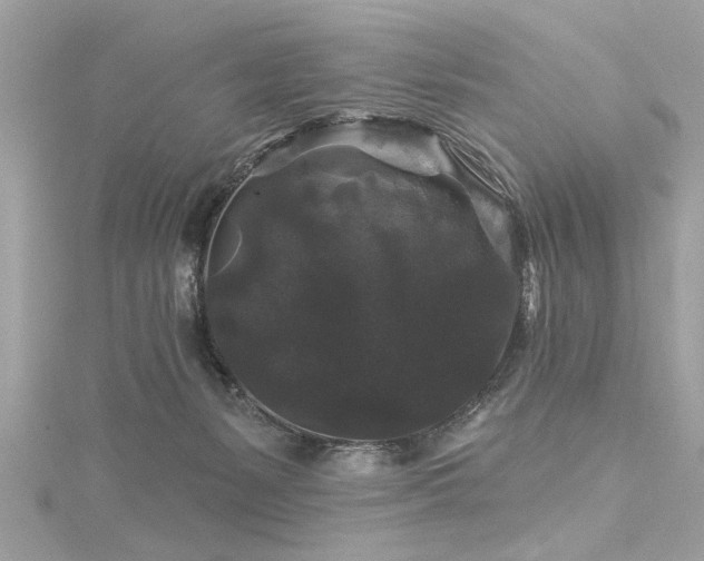X0000116010127200911191533