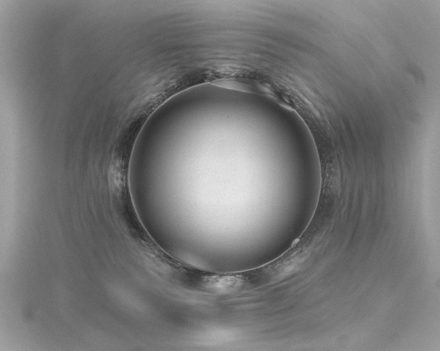 X0000116010135200911191533