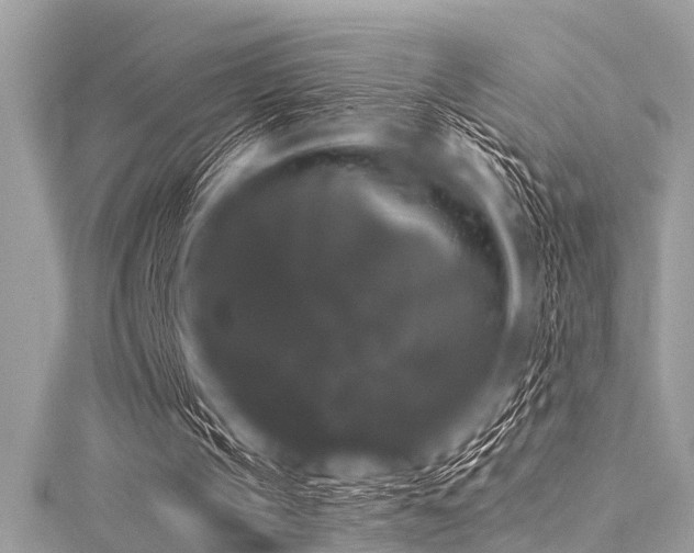 X0000116010145200911191532