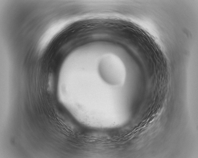 X0000116010146200911191532