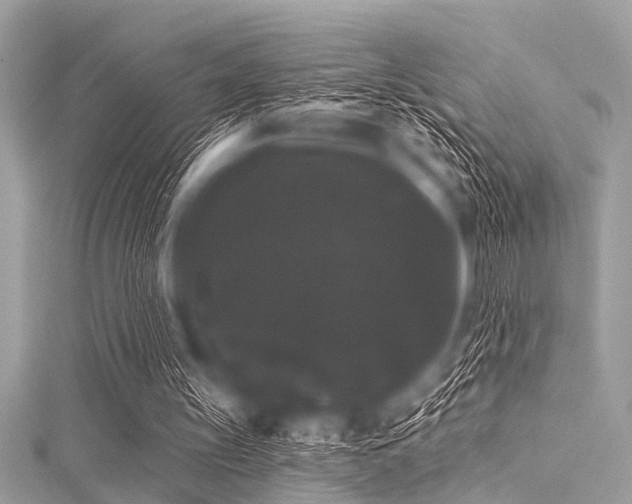 X0000116010147200911191532