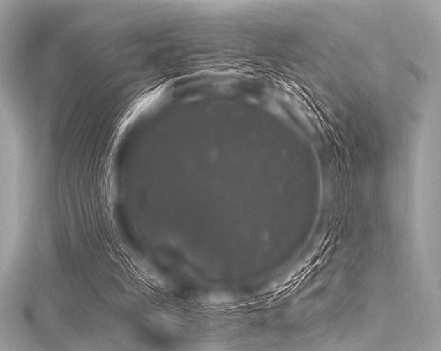 X0000116010149200911191532