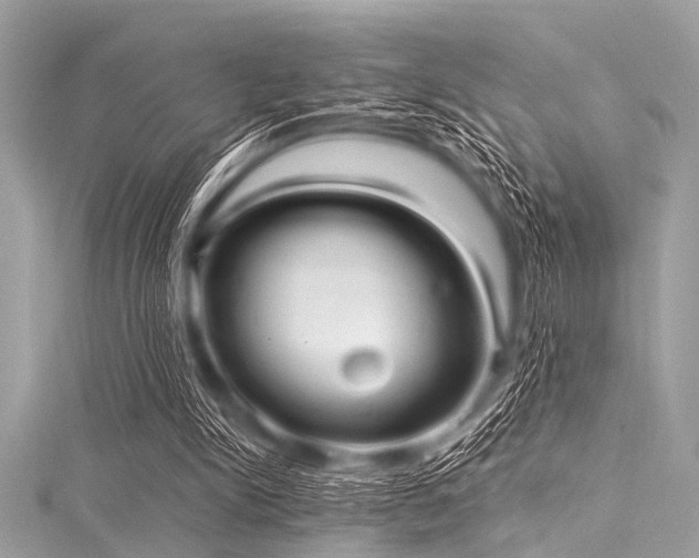 X0000116010150200911191532