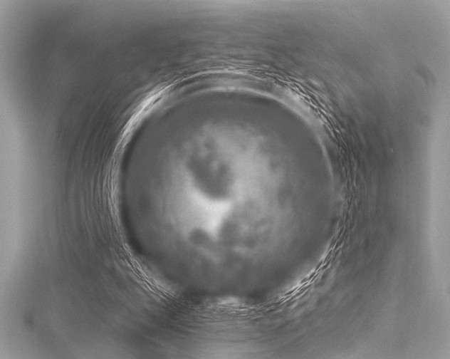 X0000116010151200911191532